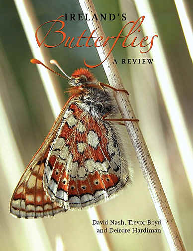 Cover Ireland's Butterflies